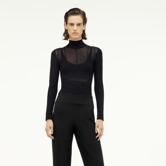 Zara Tops Zara Sheer Turtle Neck Poshmark